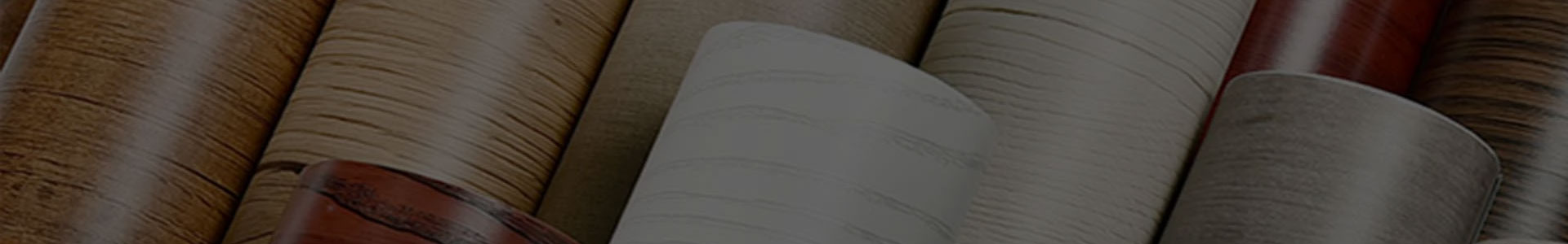 Jiaxing Xuanyi Trade International Co., Ltd