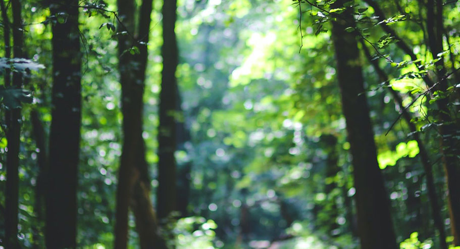 Jiaxing Xuanyi Trade International Co., Ltd