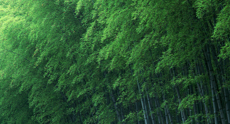 Jiaxing Xuanyi Trade International Co., Ltd